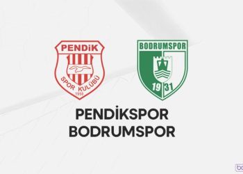 Süper Lig’in yeni ekibi belli oluyor