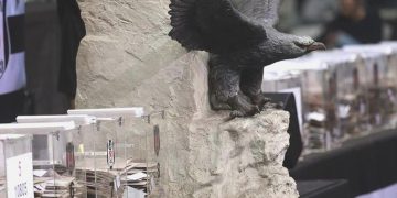 Beşiktaş’ta seçim tarihi aşikâr oldu!