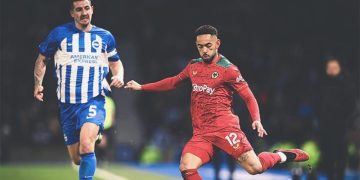 Wolves’e Brighton freni!