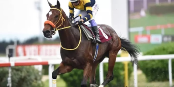 13.5 milyon lira ödüllü Gazi Koşusu yarın yapılacak