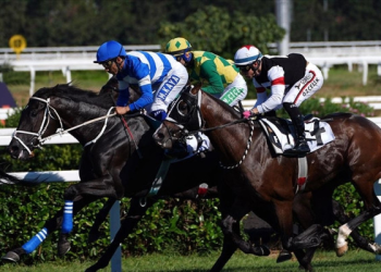 Gazi Koşusu’nu Cutha kazandı