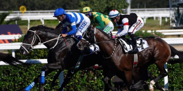 Gazi Koşusu’nu Cutha kazandı